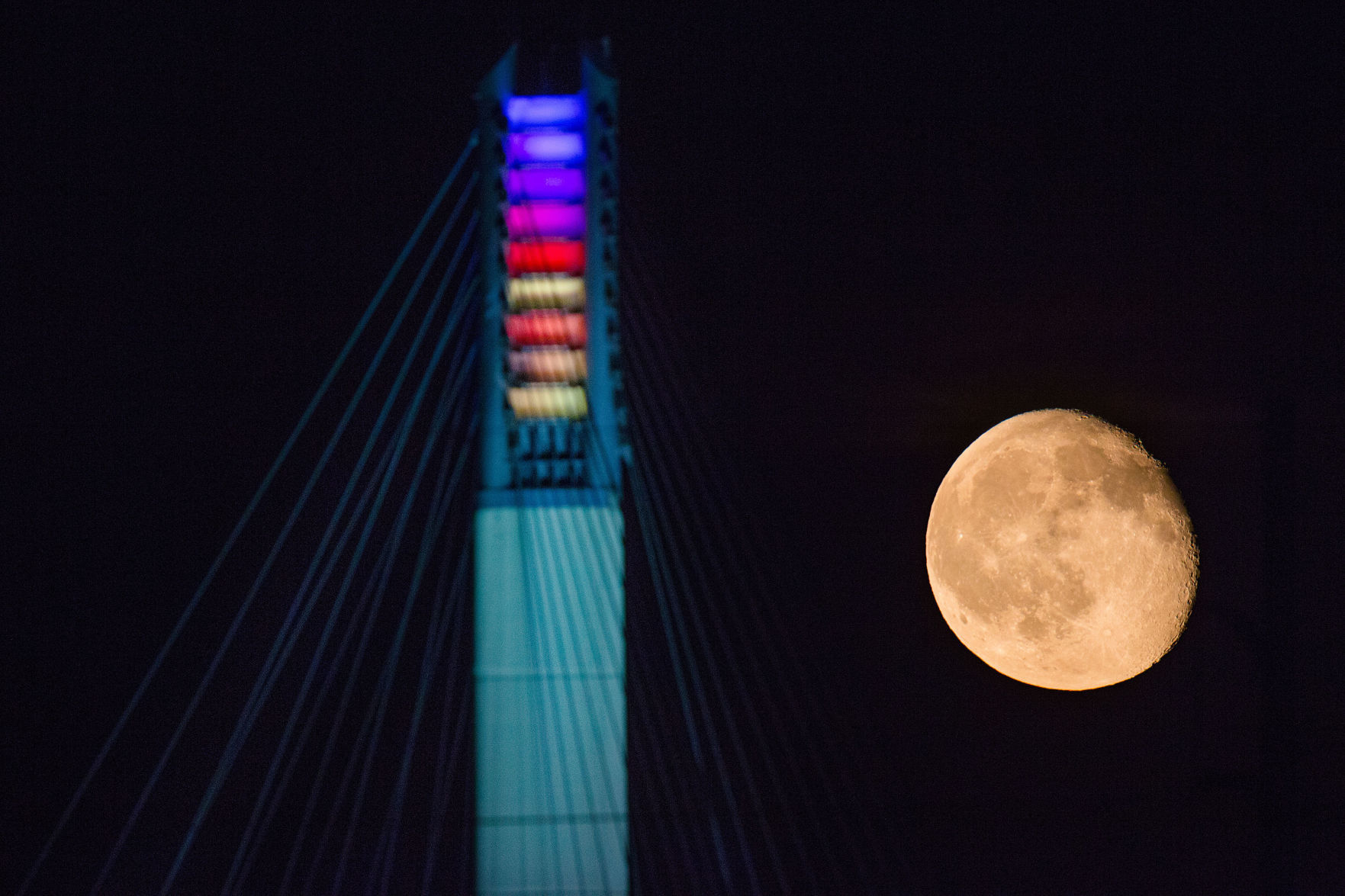 2016 - bridge
